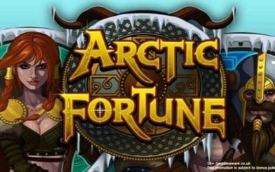Discover Magic and Fortune with Arctic Fortune & Enchanted Meadow Slots